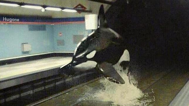 Willy también se ha dejado ver por las redes sociales