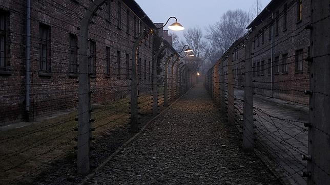 Dos colegiales británicos son multados tras el robo de objetos de Auschwitz