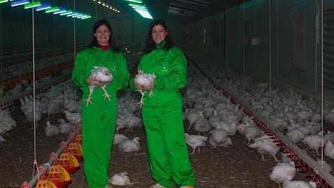 Dos mujeres trabajando en una explotación avícola