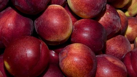 Mapa de carreteras para internacionalizar tu empresa: la trastienda del «made in Spain»