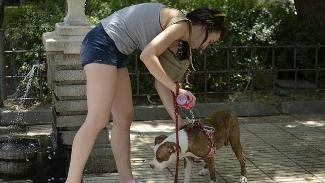 El 112 atiende a 42 personas afectadas por la ola de calor