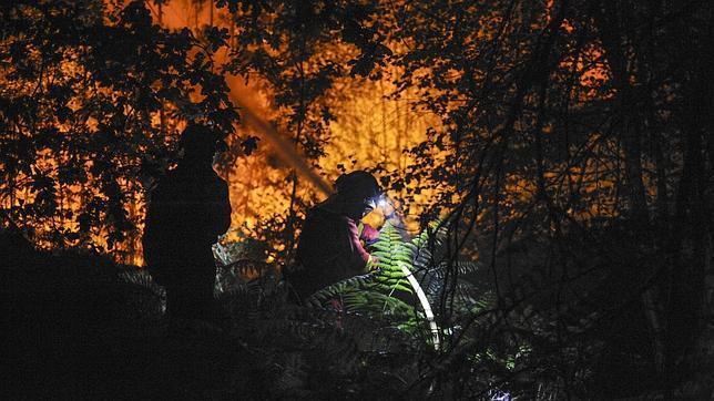 Las llamas quemaron unas 180 hectáreas de bosque en Boborás