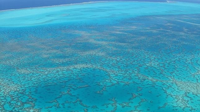 Al ritmo actual de emisiones, el pescado «huirá» a aguas más frías más rápido