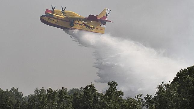 Controlado el primer gran incendio del verano tras arrasar un pinar en Palencia