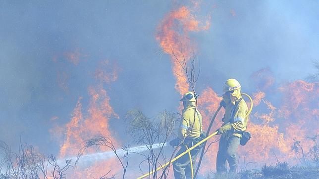 Greenpeace reclama una gestión activa del paisaje para reducir los grandes incendios