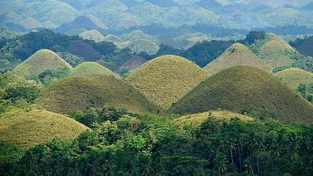 Chocolate Hills