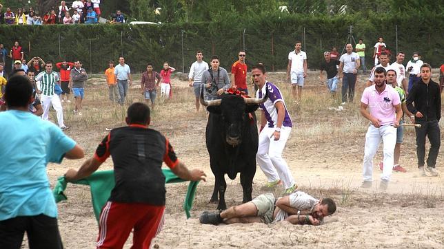 Cien artistas se ofrecen a actuar gratis a cambio de eliminar el Toro de la Vega