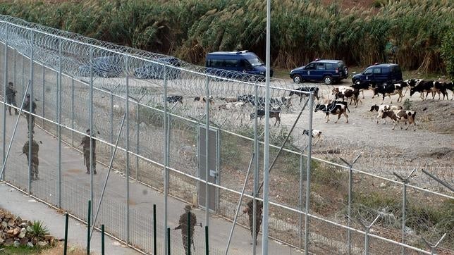 Cuatro inmigrantes saltan la valla fronteriza de Ceuta