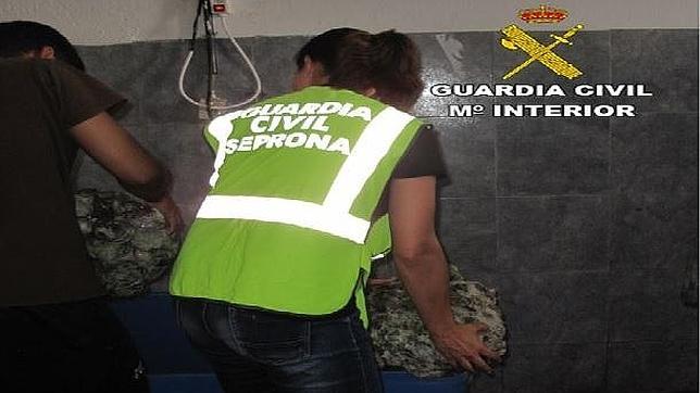 La Guardia Civil desmantela un almacén clandestino de venta de pescado en Lanzarote