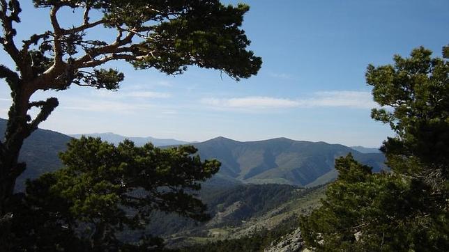 Entorno de Quintanar de la Sierra