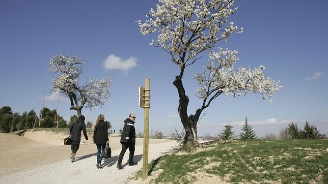 Parque forestal Cerro de las Contiendas