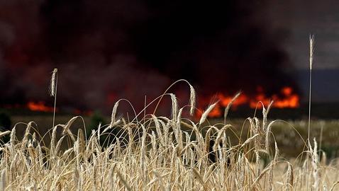 Medios aéreos y terrestres trabajan en la extinción del fuego cerca de Oña