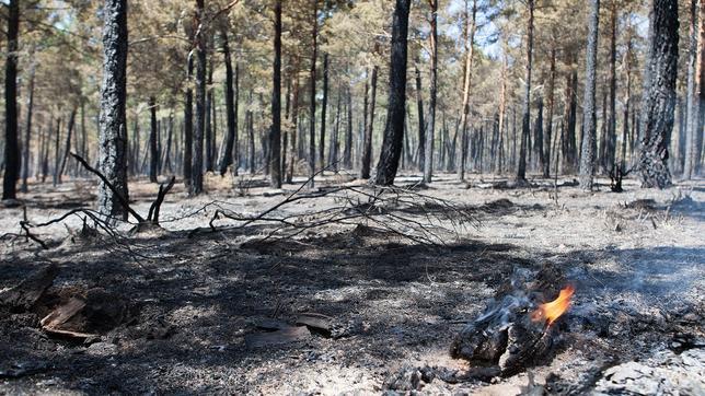 Más de 140 personas trabajan en sofocar el incendio forestal de Latedo, reavivado y de nivel 2