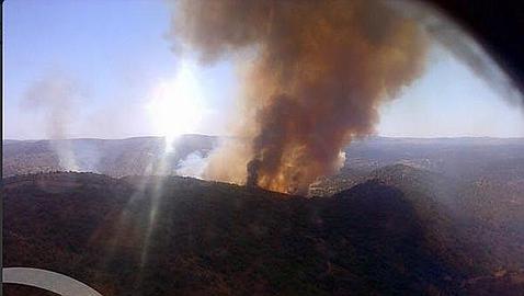 Estabilizado el incendio forestal declarado en El Ronquillo