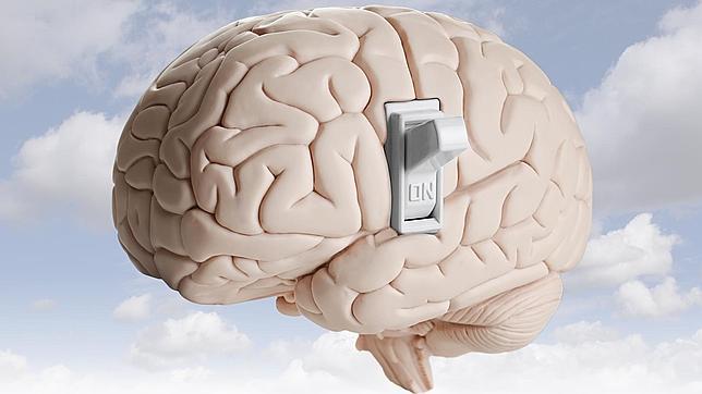 Algunas neuronas se desconectan cuando tenemos sueño