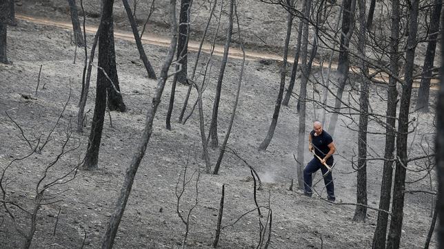 Imputado un hombre de 59 años como presunto causante del incendio de Òdena