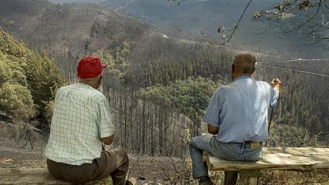 Dos vecinos observan con las llamas han devorado las tierras de Navia de Suarna (Lugo)