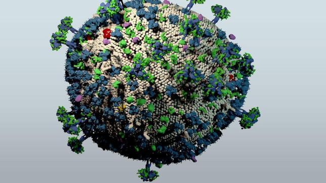 Una molécula despierta al virus del sida de sus 'santuarios' para poder matarlo