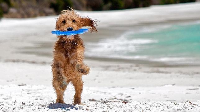 ¿Vamos a la playa?