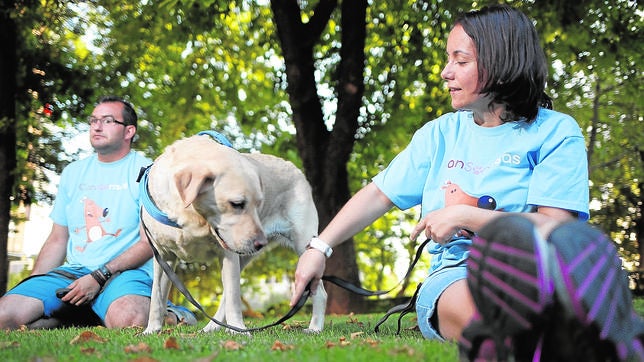 Mi «doctor» es un perro