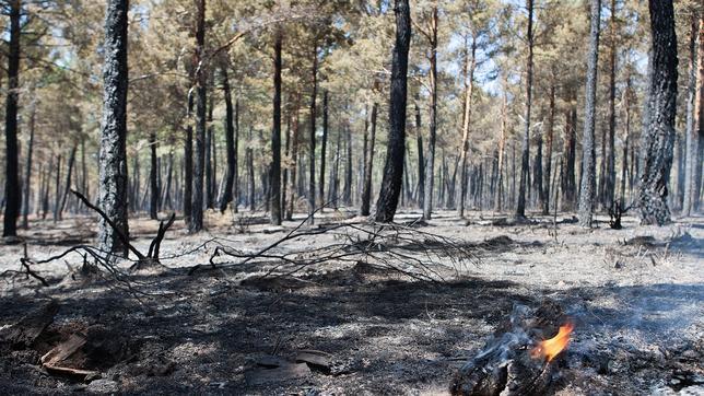 Extinguido el incendio de la localidad zamorana de Latedo tras 11 días activo