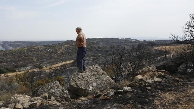 La superficie quemada se reduce un 18% respecto del año pasado