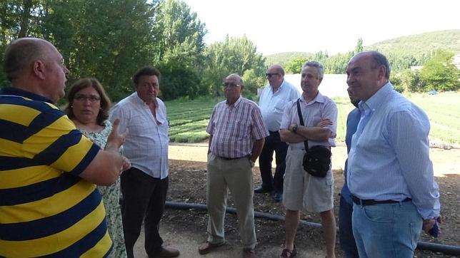 Diputación anuncia la posible creación de la I Feria Regional de plantas aromáticas