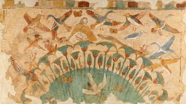 En la imagen, varios pájaros revolotean sobre unas ciénagas