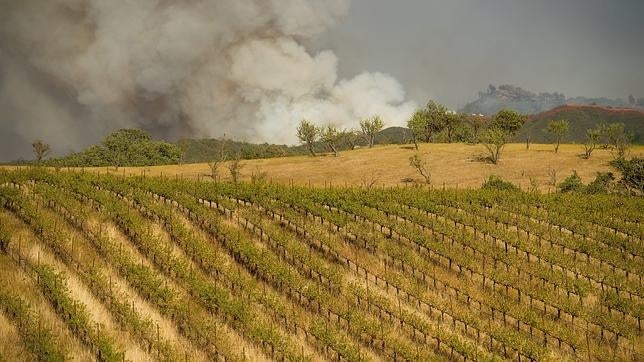 España tendrá cada vez más sequías debido a los efectos del cambio climático