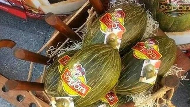 Los famosos melones de Villaconejos