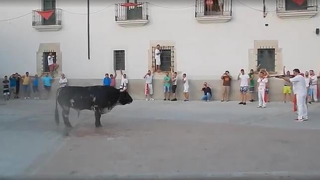 El Ayuntamiento de Coria podría ser multado por la muerte «ilegal» de toro