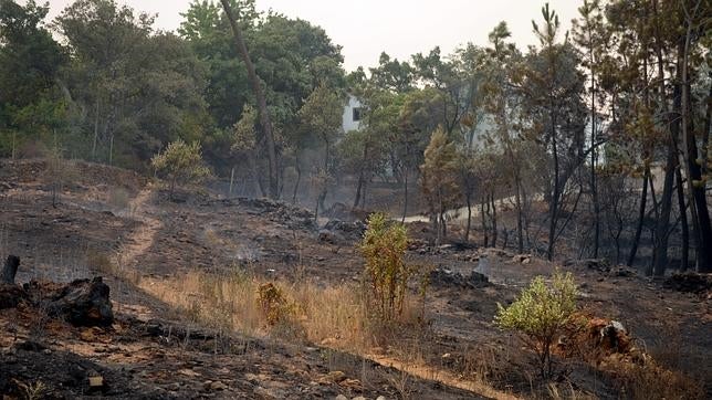 La Diputación asegura que se volcará con la Sierra de Gata tras el incendio