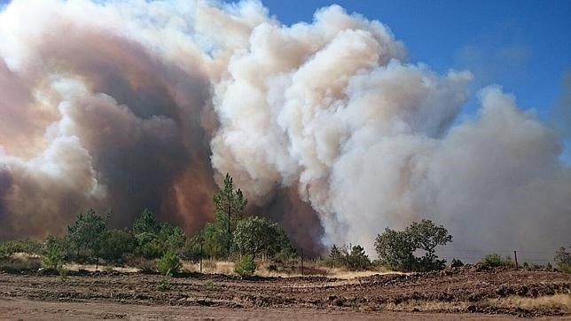 El incendio de Gata ha arrasado ya 5.000 hectáreas de alto valor ecológico