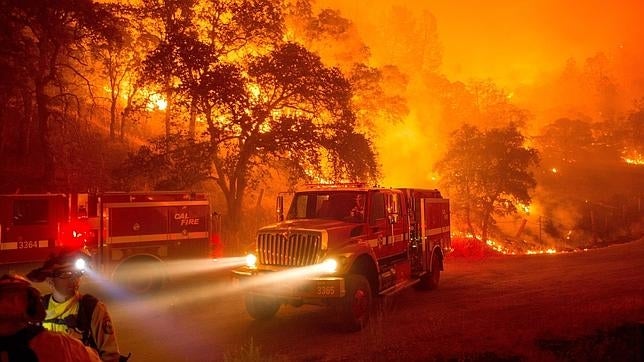 Guía para reaccionar ante un incendio forestal