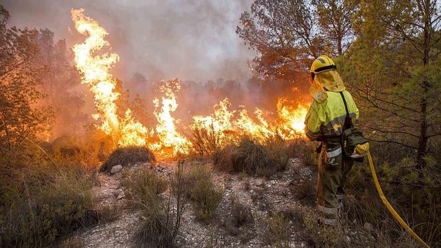 Los incendios en Lorca y Cieza ya han arrasado 600 hectáreas