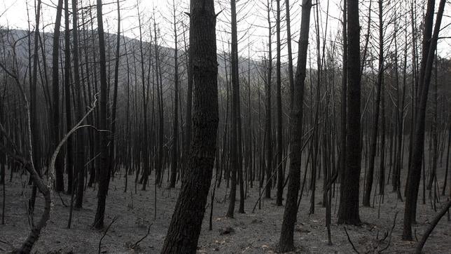 Otro millar de evacuados en el incendio incontrolado de la Sierra de Gata