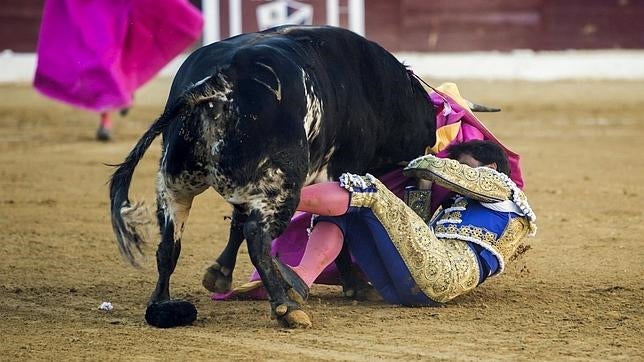 Francisco Rivera Ordóñez, Paquirri, se encuentra «estable» dentro de la gravedad