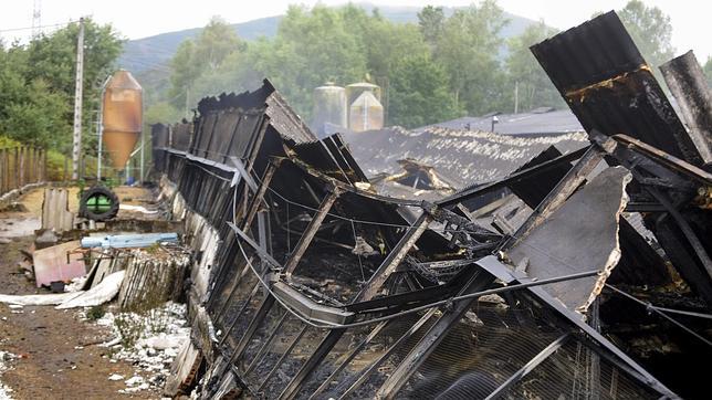 Un incendio en una granja de Orense causa la muerte de 32.000 pollos