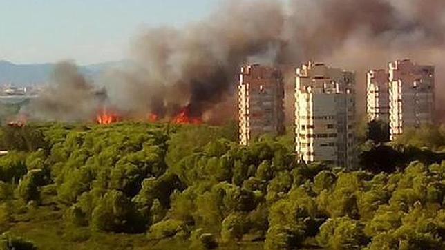 Estabilizado el incendio forestal de El Saler