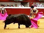 Directo: maravillosa faena de Morante con el cuarto toro en Illumbe