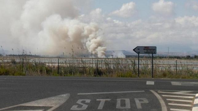 Controlado el incendio forestal del parque natural de Salinas de Santa Pola