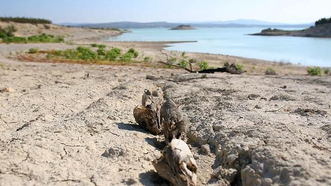 Los embalses del trasvase del Tajo guardan casi el triple de agua que los alicantinos