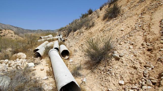 Tierras asoladas por la sequía en la Vega Baja de Alicante