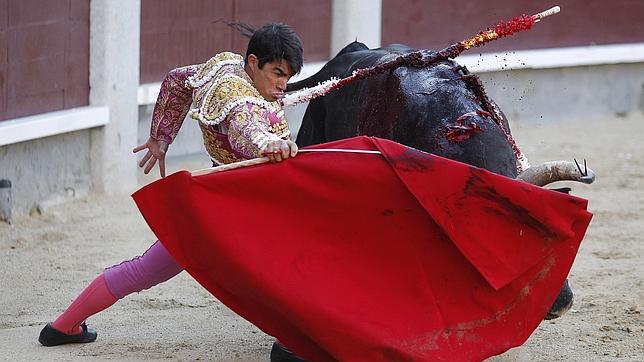 Domingo López Chaves se dobla con el toro