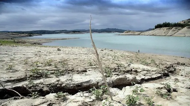 Más de 40 millones de euros para paliar sequía en las cuencas del Júcar y del Segura