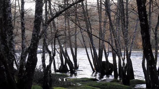 «E si chove»... a los bosques gallegos