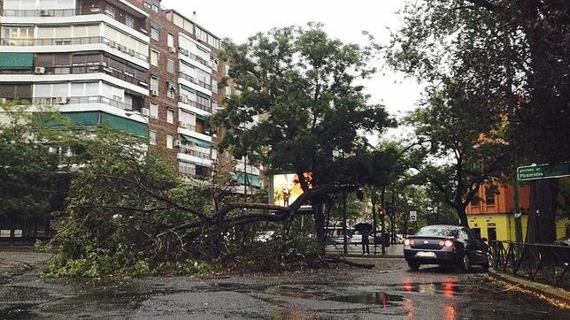 Lluvias y tormentas fuertes o muy fuertes dejarán 12 provincias en alerta amarilla