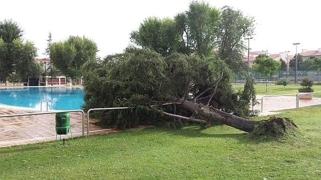 La piscina de verano del Polideportivo municipal ha tenido que adelantar su cierre debido a los destrozos del temporal