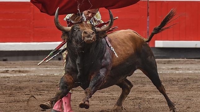 La Corridas Generales de Bilbao, entre el triunfo y la polémica