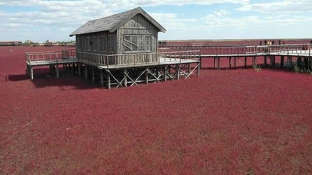 La espectacular playa que se vuelve roja en septiembre